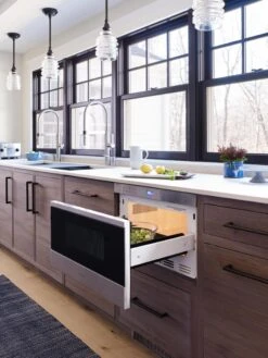 Wolf 24" Transitional Drawer Microwave -Kitchen Utensils Store rddrtktgoqmf